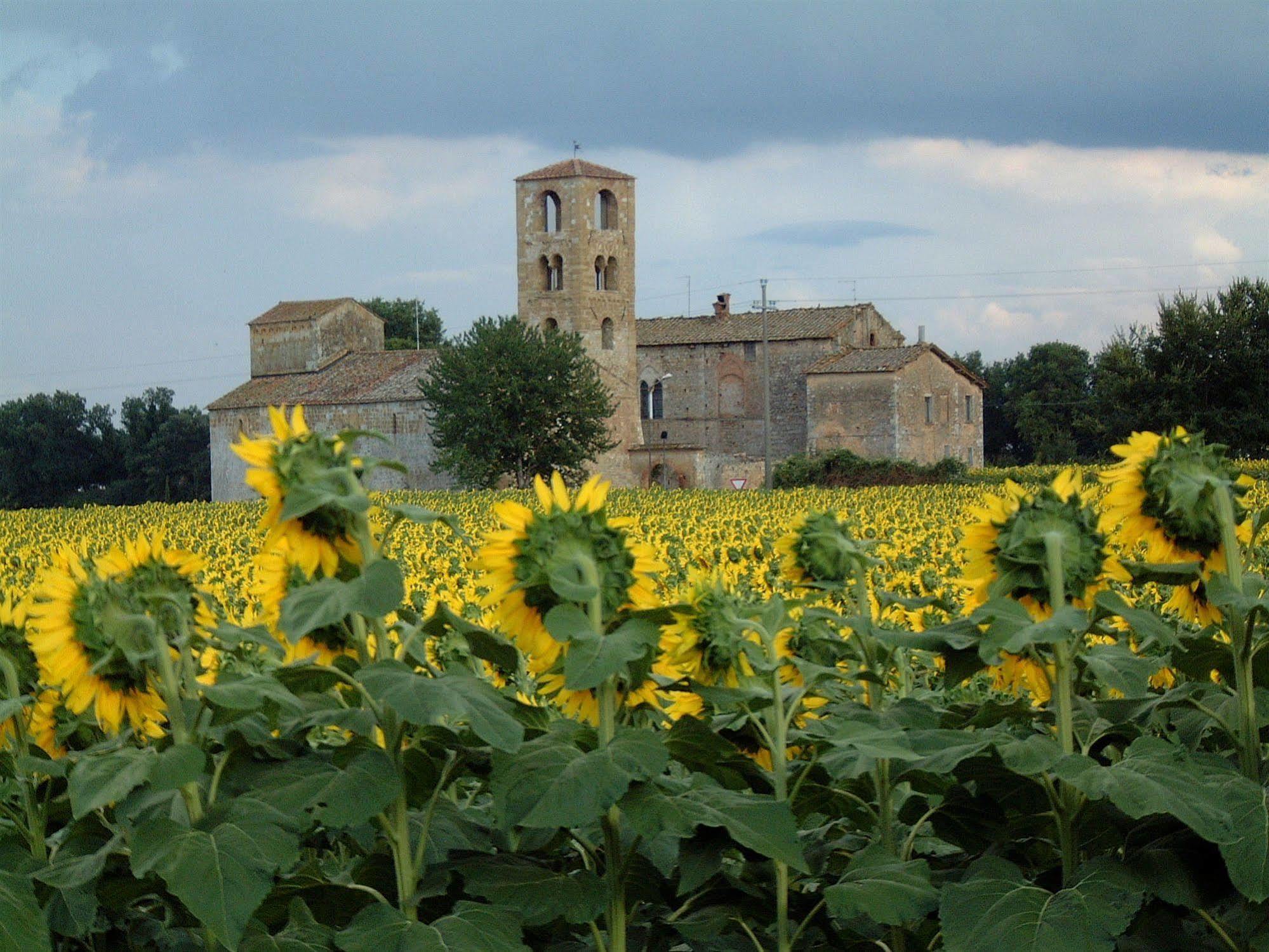Castello Di - Residenza D'epoca Bed & Breakfast Sovicille